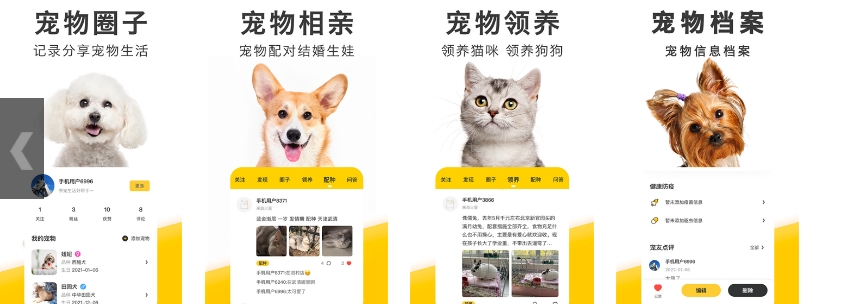 宠物爱好者的福音，如果你也在其中，那恭喜你