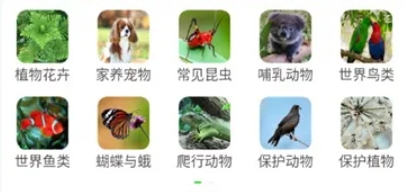 人工智能识物神器，扫一扫智能识别万物APP