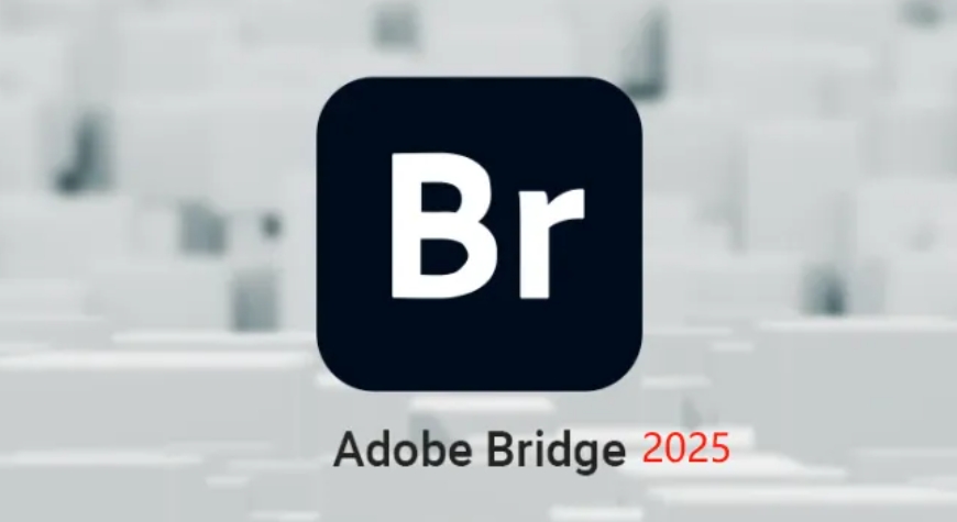 Br 2025最新版！Adobe Bridge Br 2025中文版，超详细安装激活攻略！（附各版本安装包高速下载）