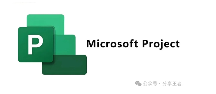 Microsoft project软件大全