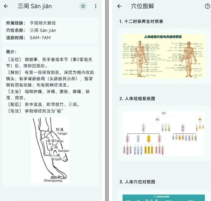人体穴位图APP，人体穴位图解