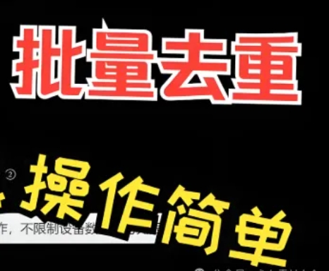 批量去重工具（支持图片/文字去重）