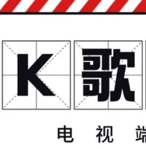 宝藏电视TV端K歌工具!