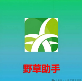 1763385600991222.png image.png