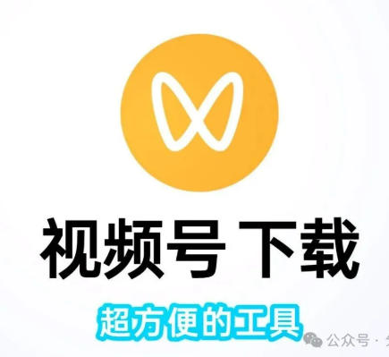 微信视频号下载工具中文绿色版！支持直播回放，直播下载！