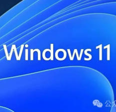 电脑系统下载工具！