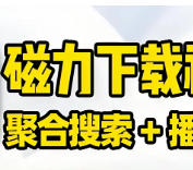 6款磁力搜索神器+磁力下载神器